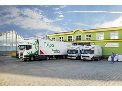 TULIPA PRAHA, s.r.o.