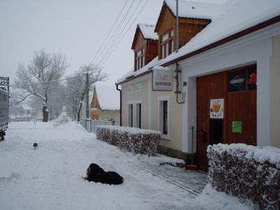 Petr Tícha - Servis