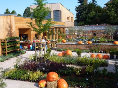 TREES - Zahradnictví a kavárna