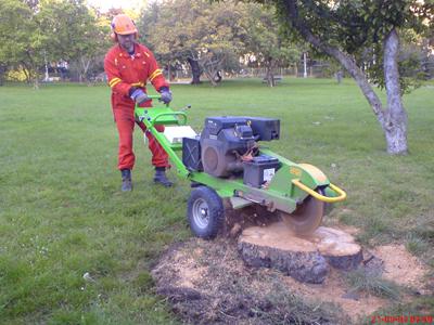 Ondřej Janovský - Zahradnické práce foto 3