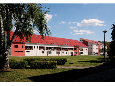 Smetanka 2011 foto 4