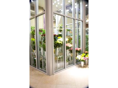 HOLANDSKÉ KVĚTINY, s.r.o. foto 3