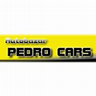 logo - Autobazar Pedro Cars