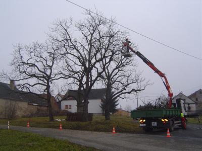 JAN MAREK - výškové práce - kontejnery foto 3