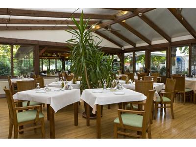 Taverna Olympos foto 4