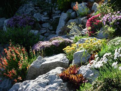 Trvalky Fryčovice foto 2