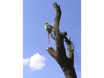 PAVOUCI, s.r.o. foto 4