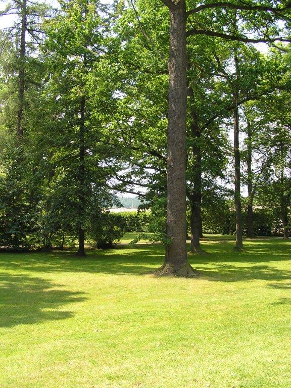 Obchod.roznovska-travni.cz foto 4