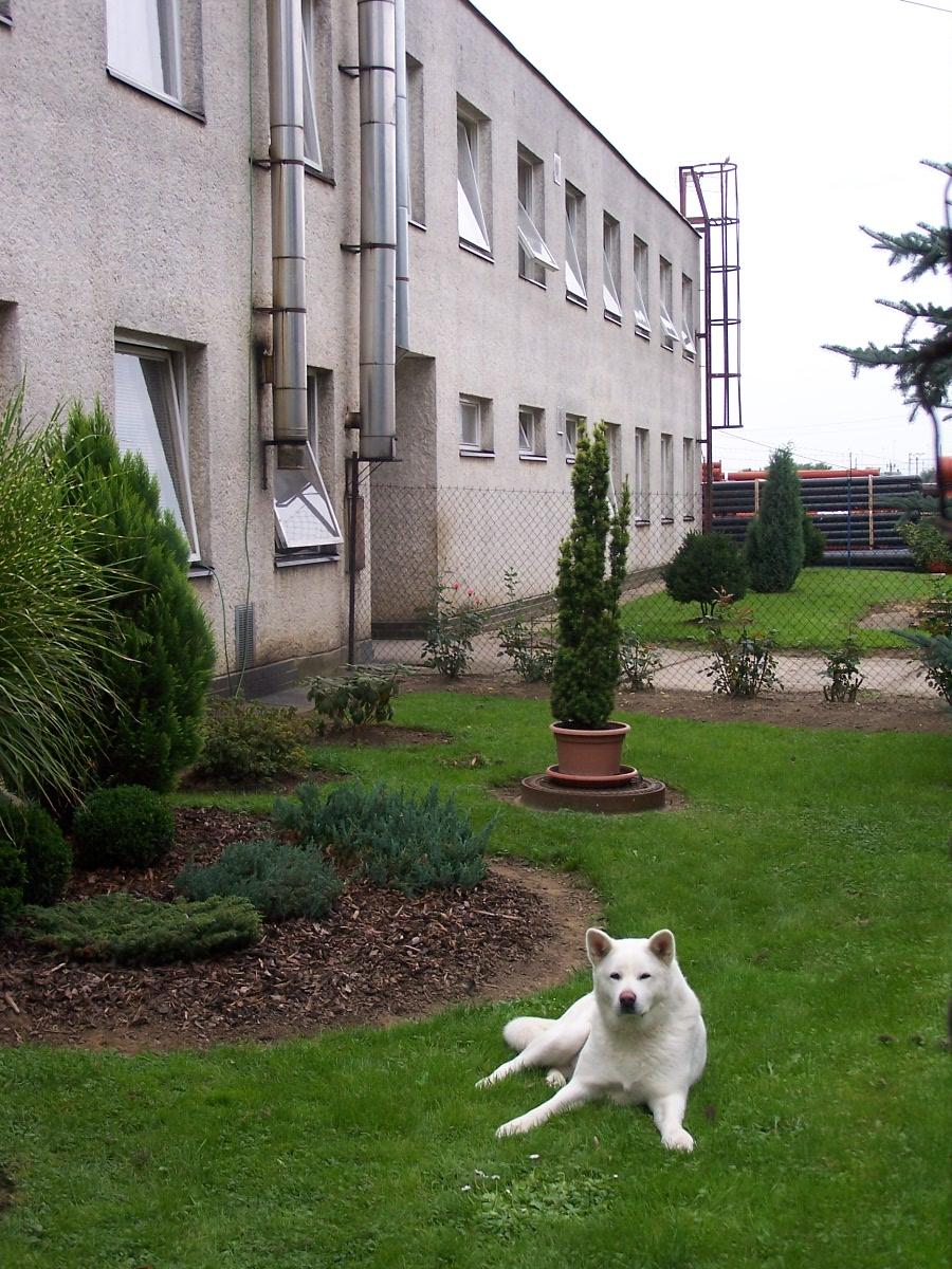 Ubytovna U Cukrovaru