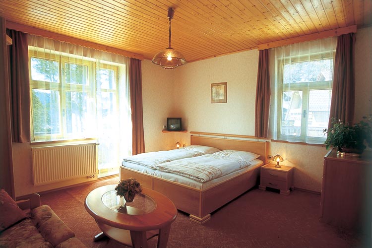 Hotel Lesní dům Janské Lázně foto 4