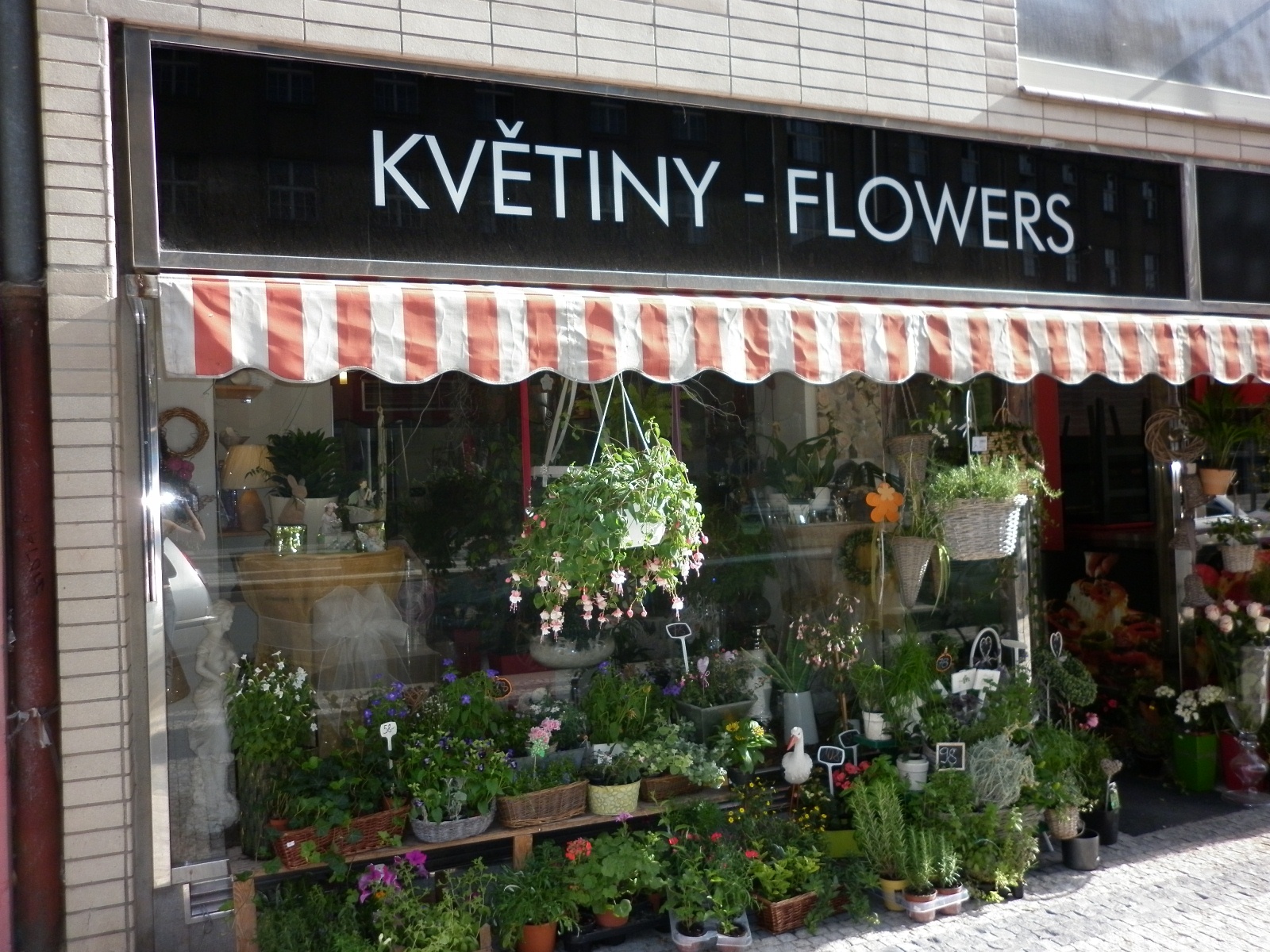 Květiny Zuzana Bláhová