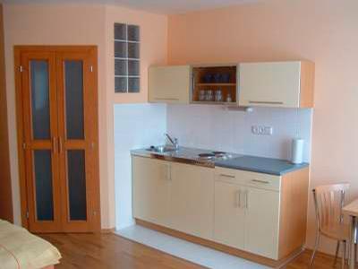 Penzion-restaurant U Hofmanů foto 4