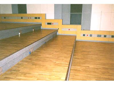 Jindřich Stankev foto 4