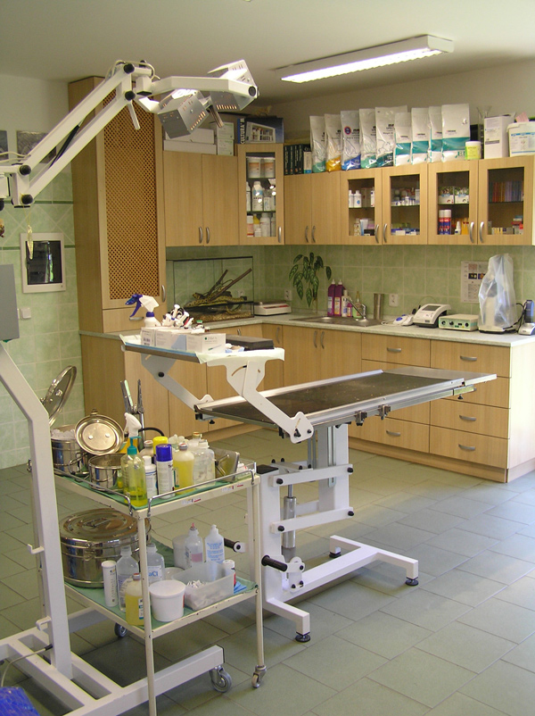 Veterinární klinika MVDr. Gebauer Marek foto 4