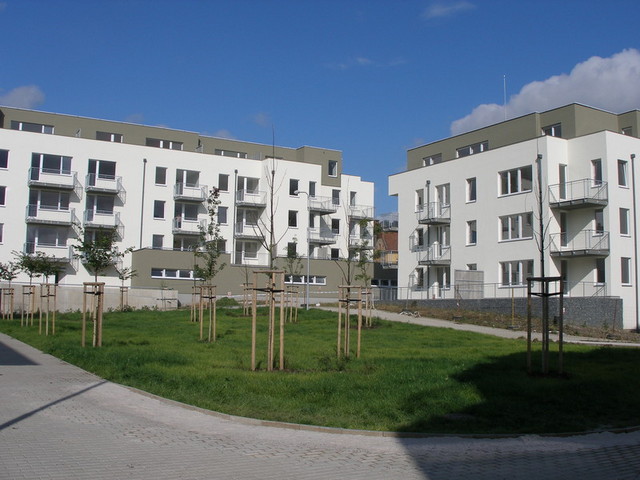Winko foto 4