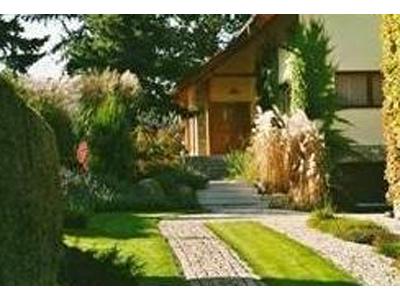 Michal Vránek foto 4