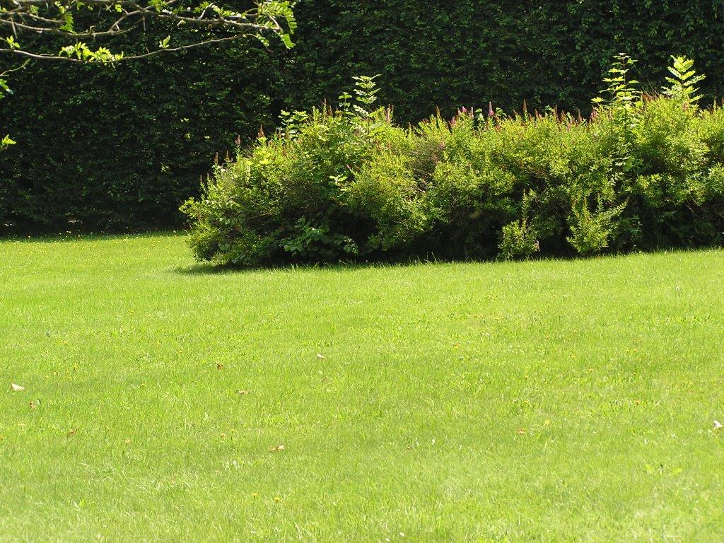 Obchod.roznovska-travni.cz foto 3