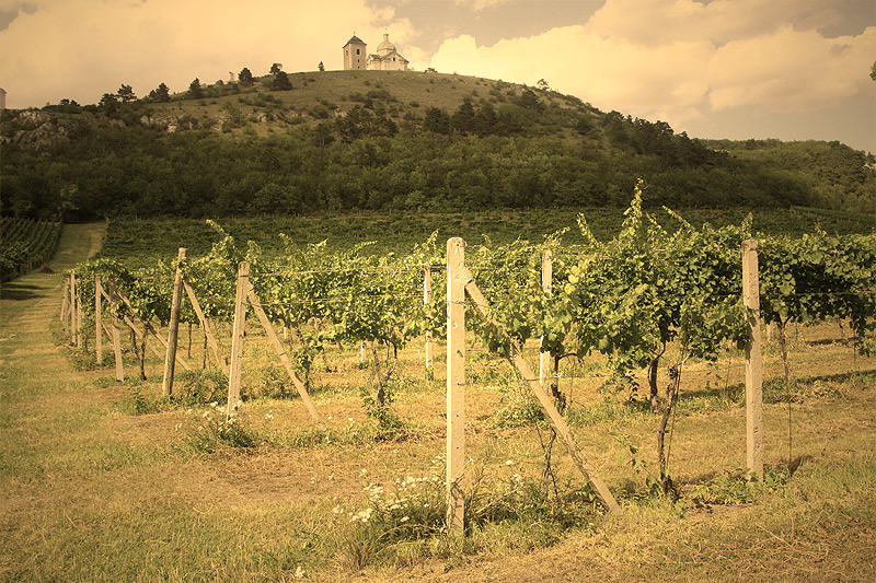 WINBERG Mikulov, s.r.o.