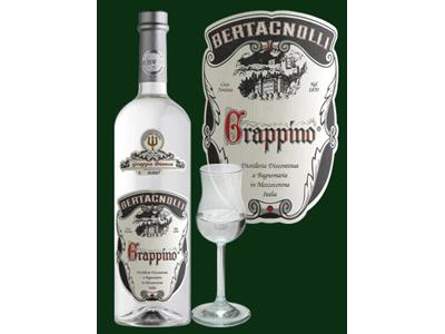 Bertagnolli.cz foto 2