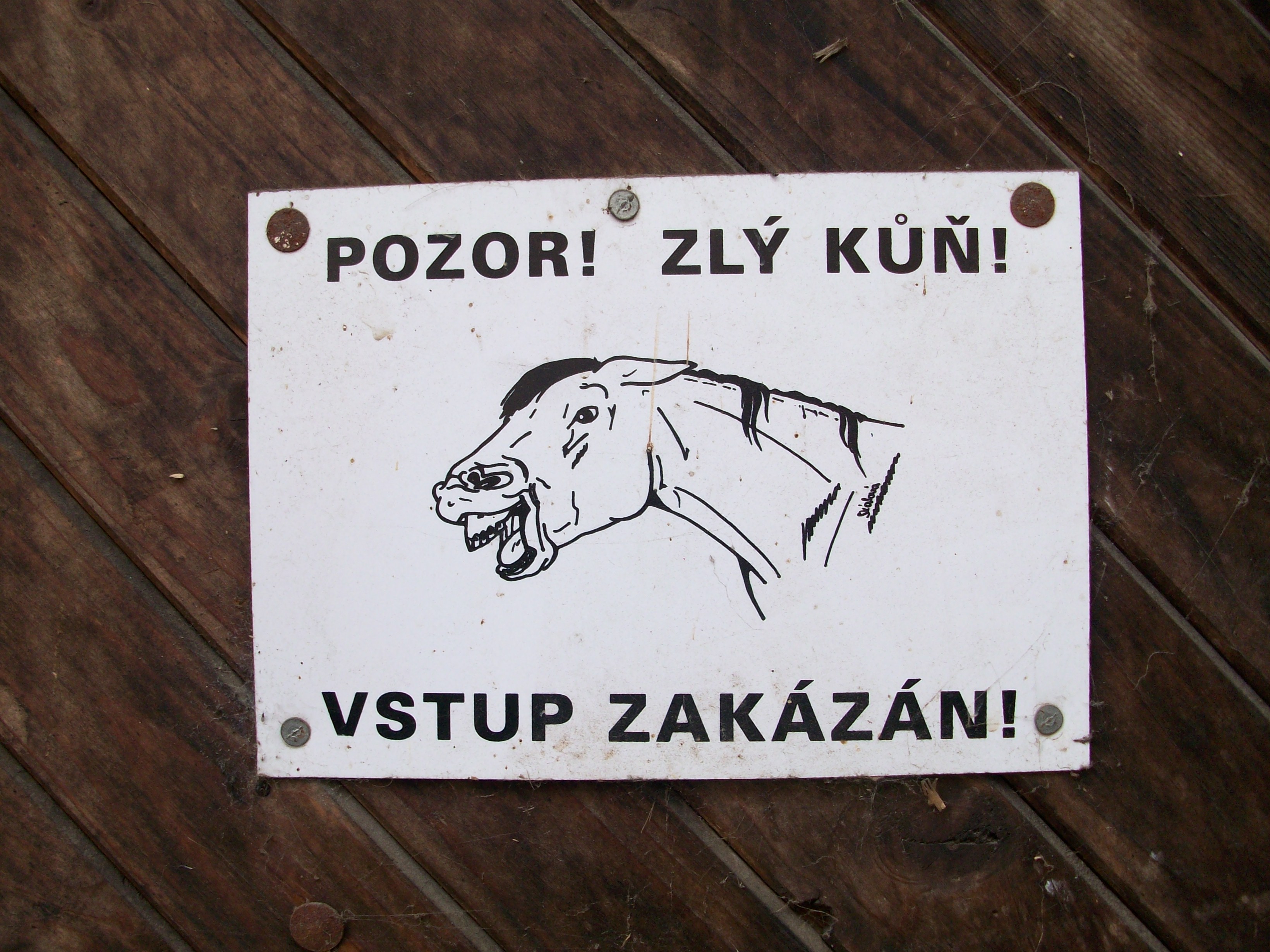 Jezdecký klub Větrný Ranč Rychnov foto 2