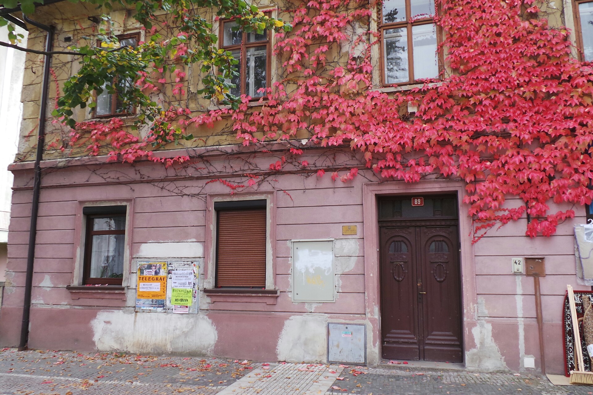 Daňový poradce ev. č. 1307 Ing. Jiří Nigrin