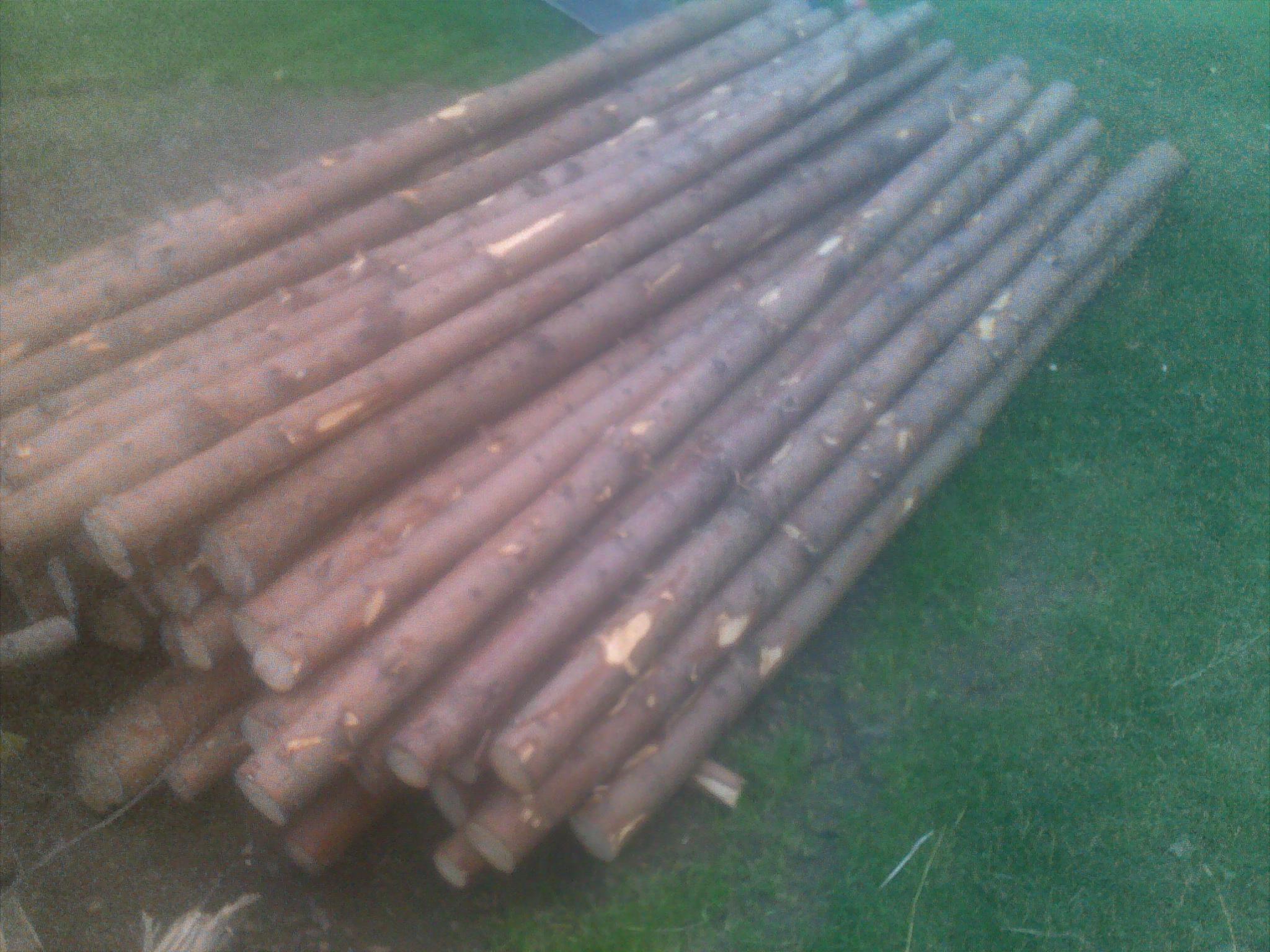 Prodej palivového dříví - Pavel Vitner foto 3