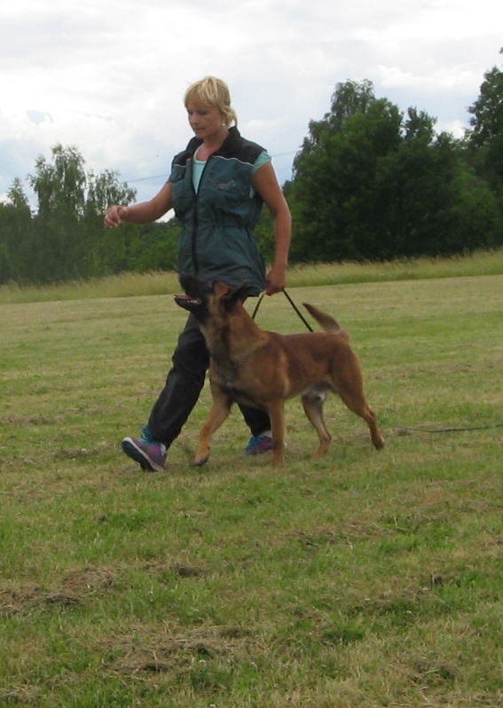 Hotel pro psy - Ing. Martina Helclová foto 4