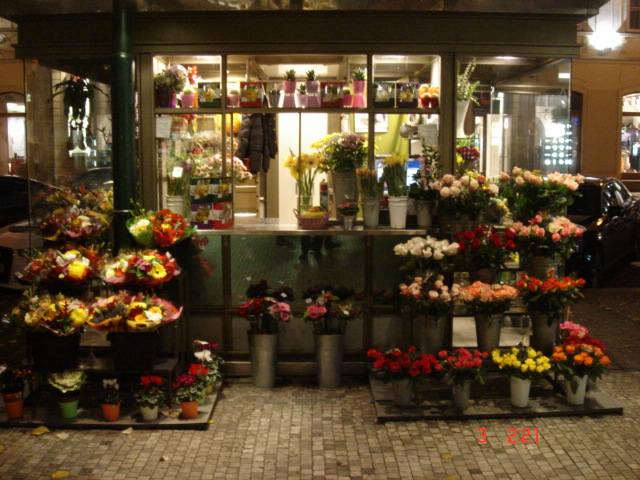 ARTIFLORA, s.r.o. foto 2