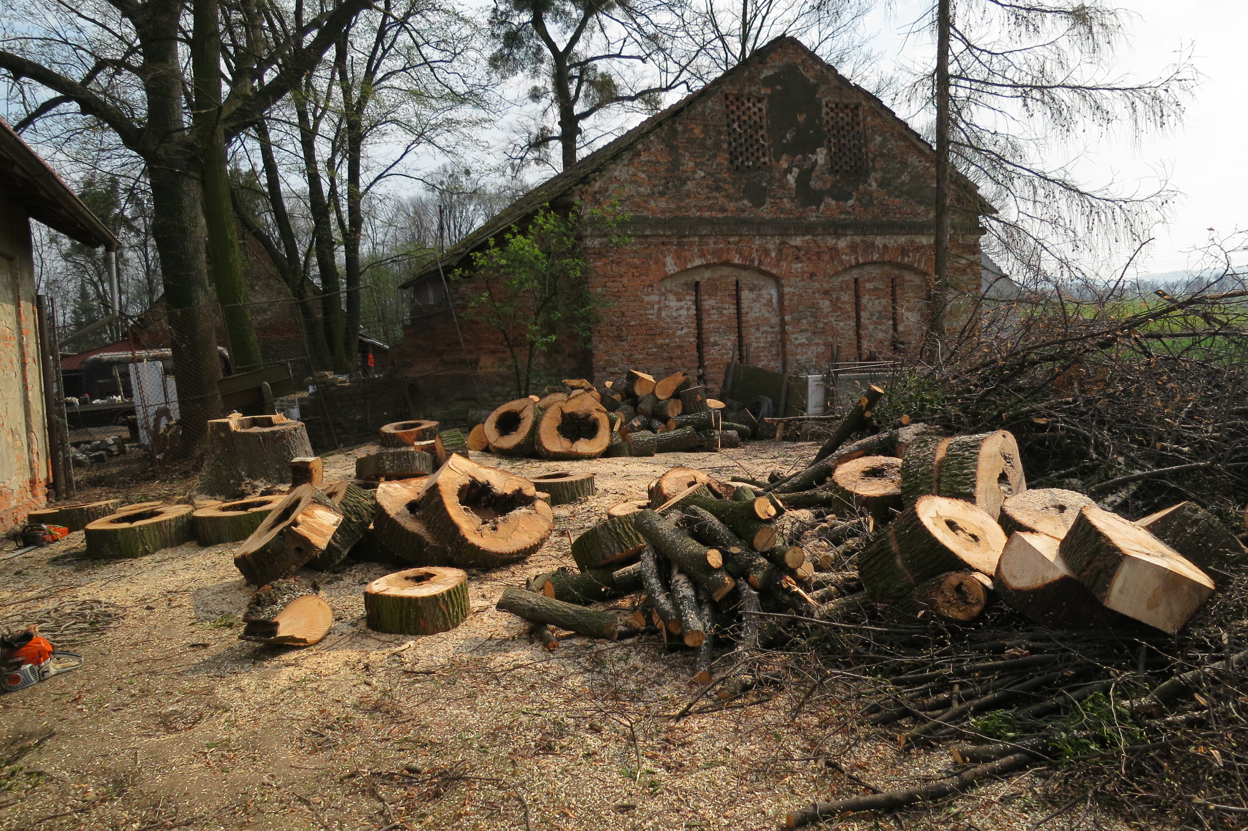 Tomáš Kvarda foto 4