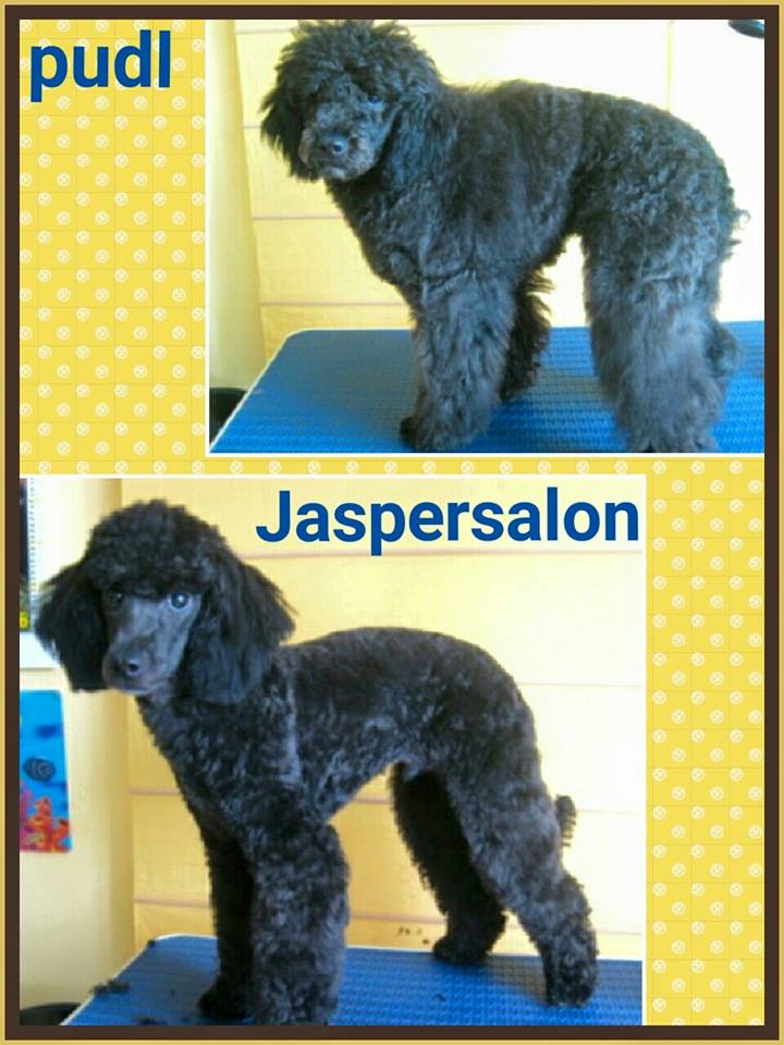 Jasper salón foto 3