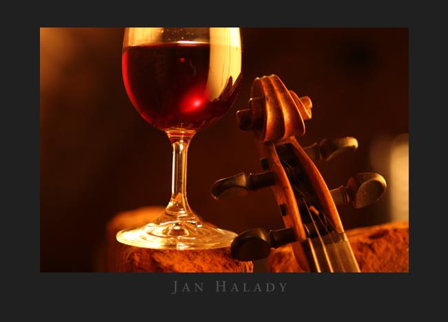 Jan Halady - fotografické služby foto 4