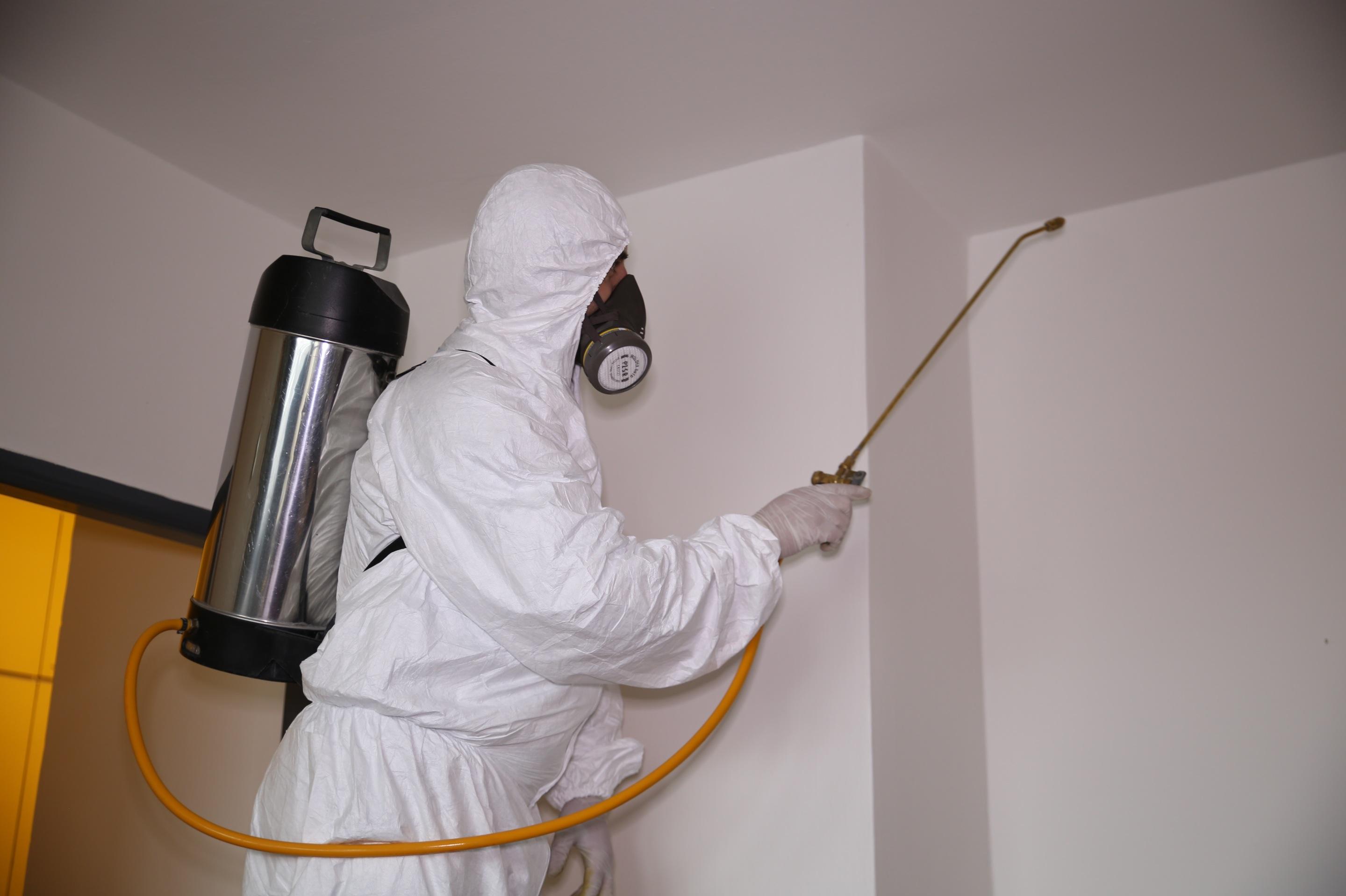 Deratizace Deraplus foto 6