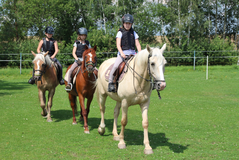 Jezdecká školka Popelka foto 4