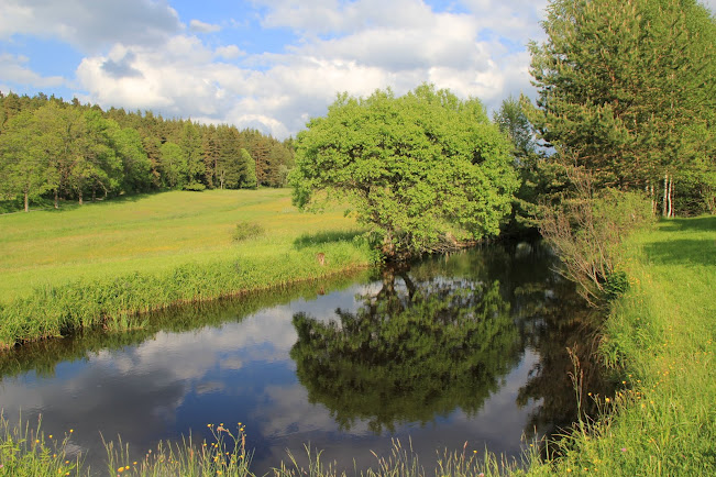 Penzion Baurů Dvůr foto 4
