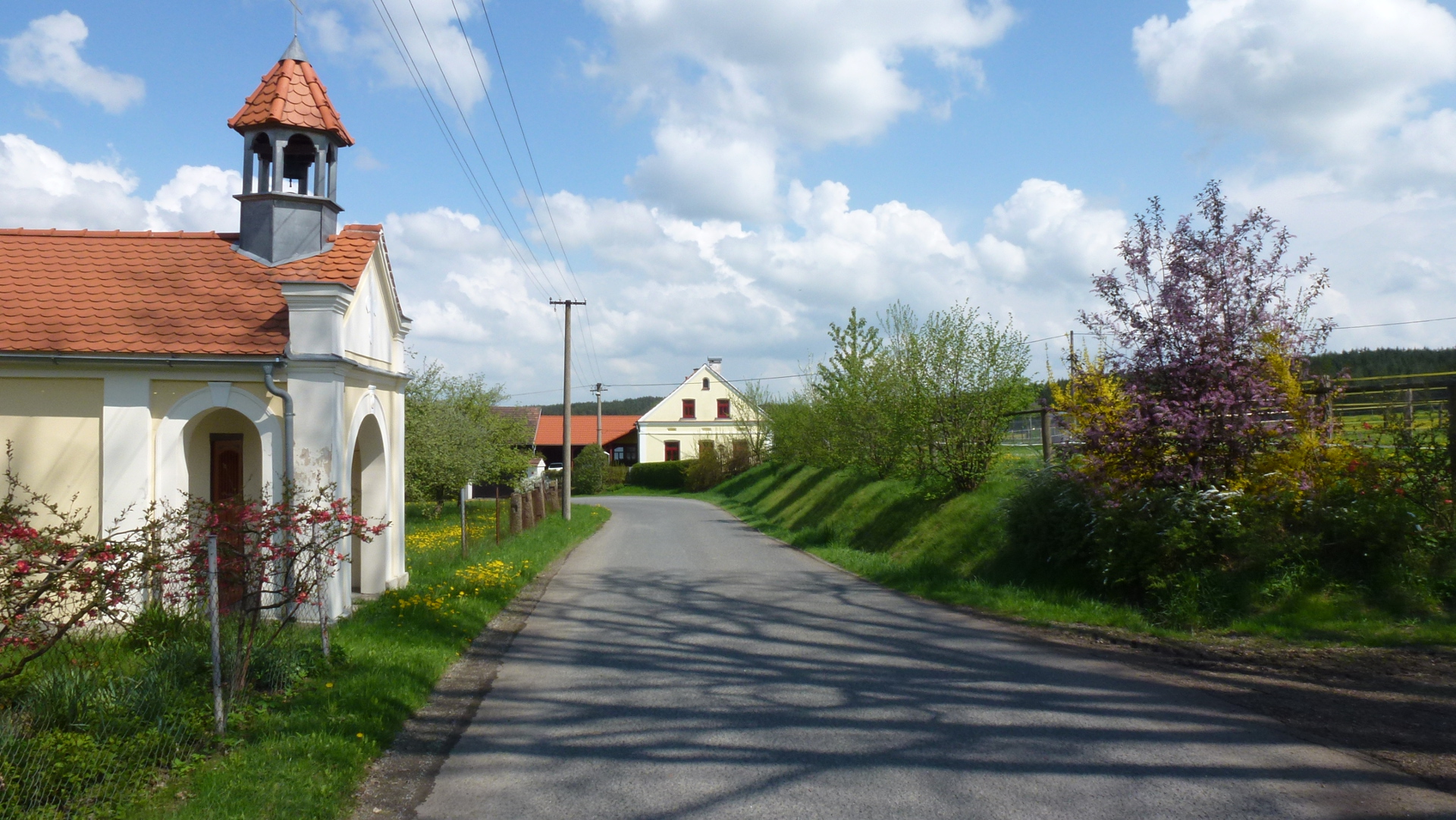 Ovčí a kozí farma - Pavla Kožnarová foto 2