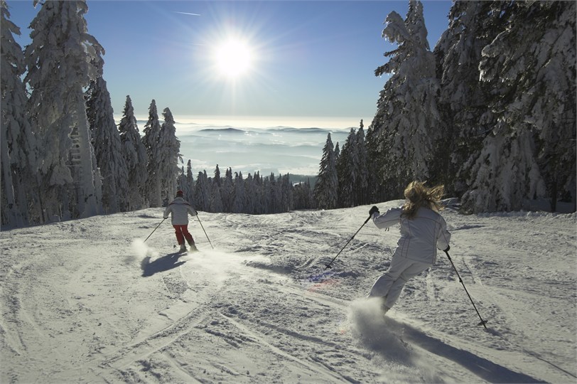 Ubytování Lipno Lake Resort foto 6