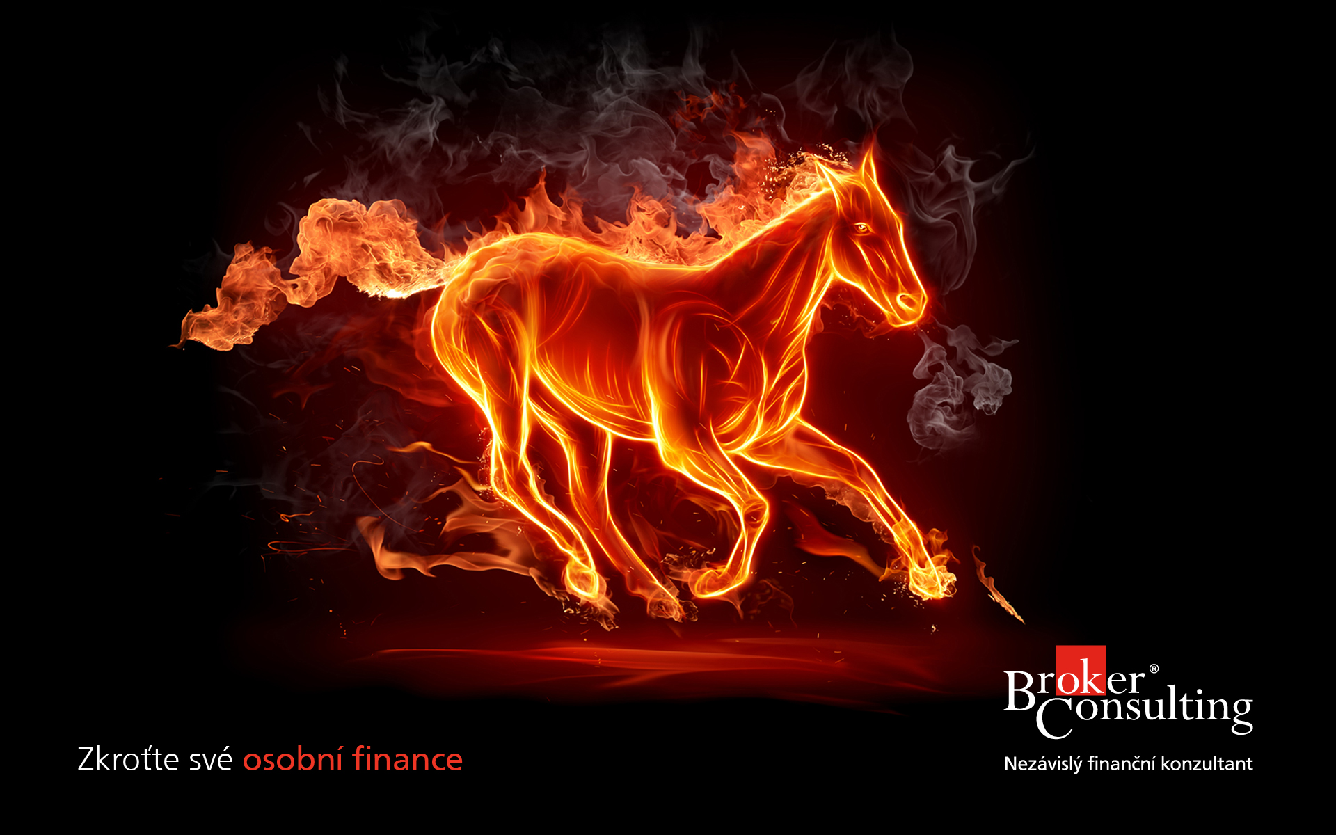 Ing. Jaroslava Smutná - Broker Consulting a.s. foto 2