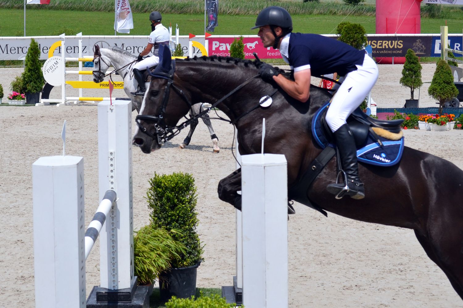 WinnerHorses foto 6