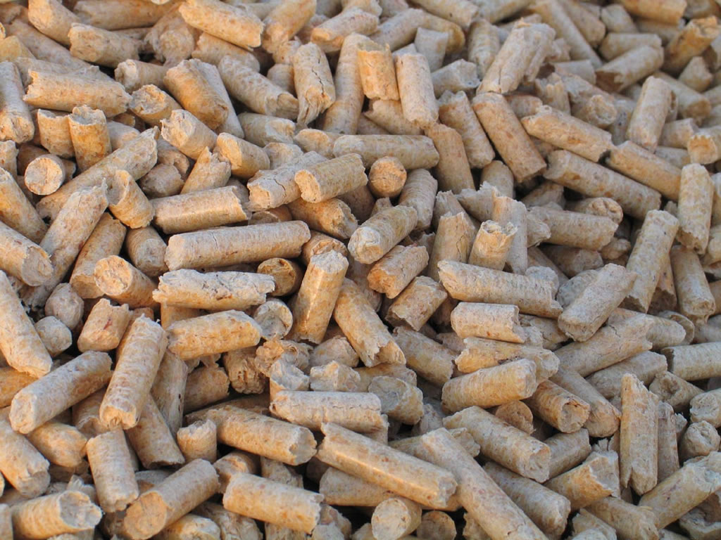 Peletyeu - Milan Petr foto 2