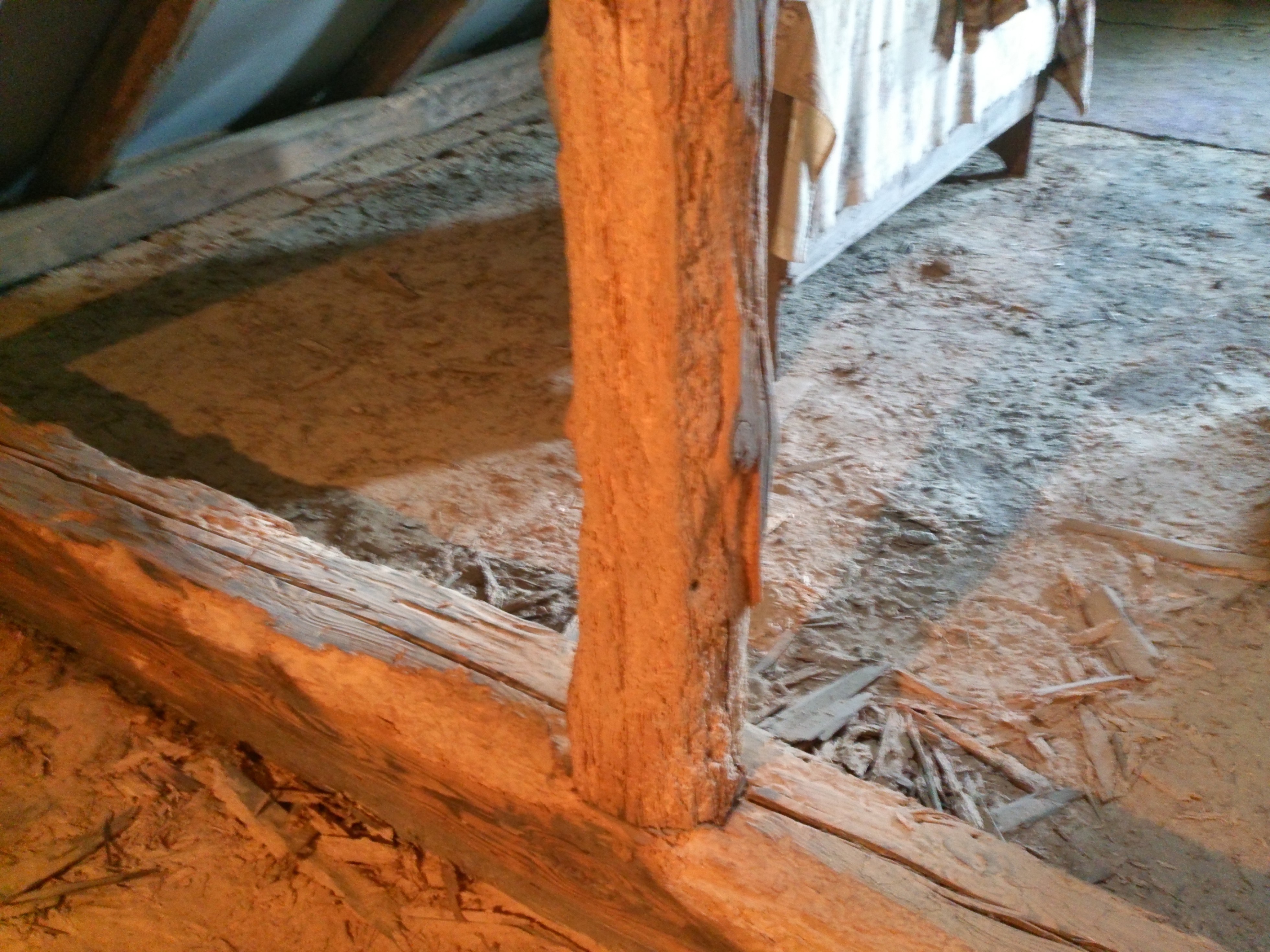 MH-Chemická ochrana dřeva s.r.o. foto 4