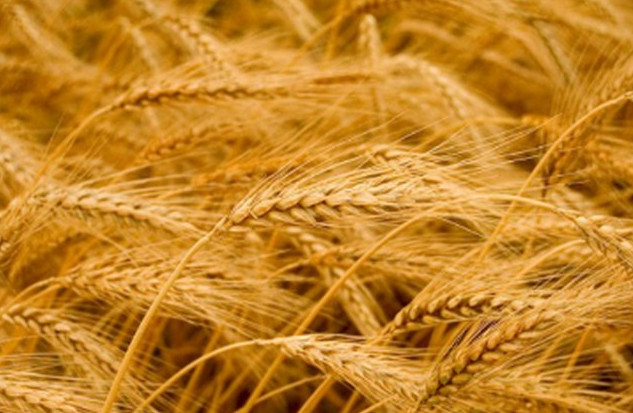 PODYJÍ, a.s. foto 2