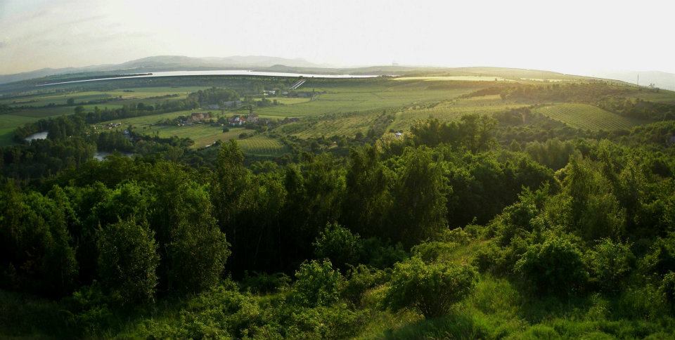 Vičické vinařství Mikulášek foto 2