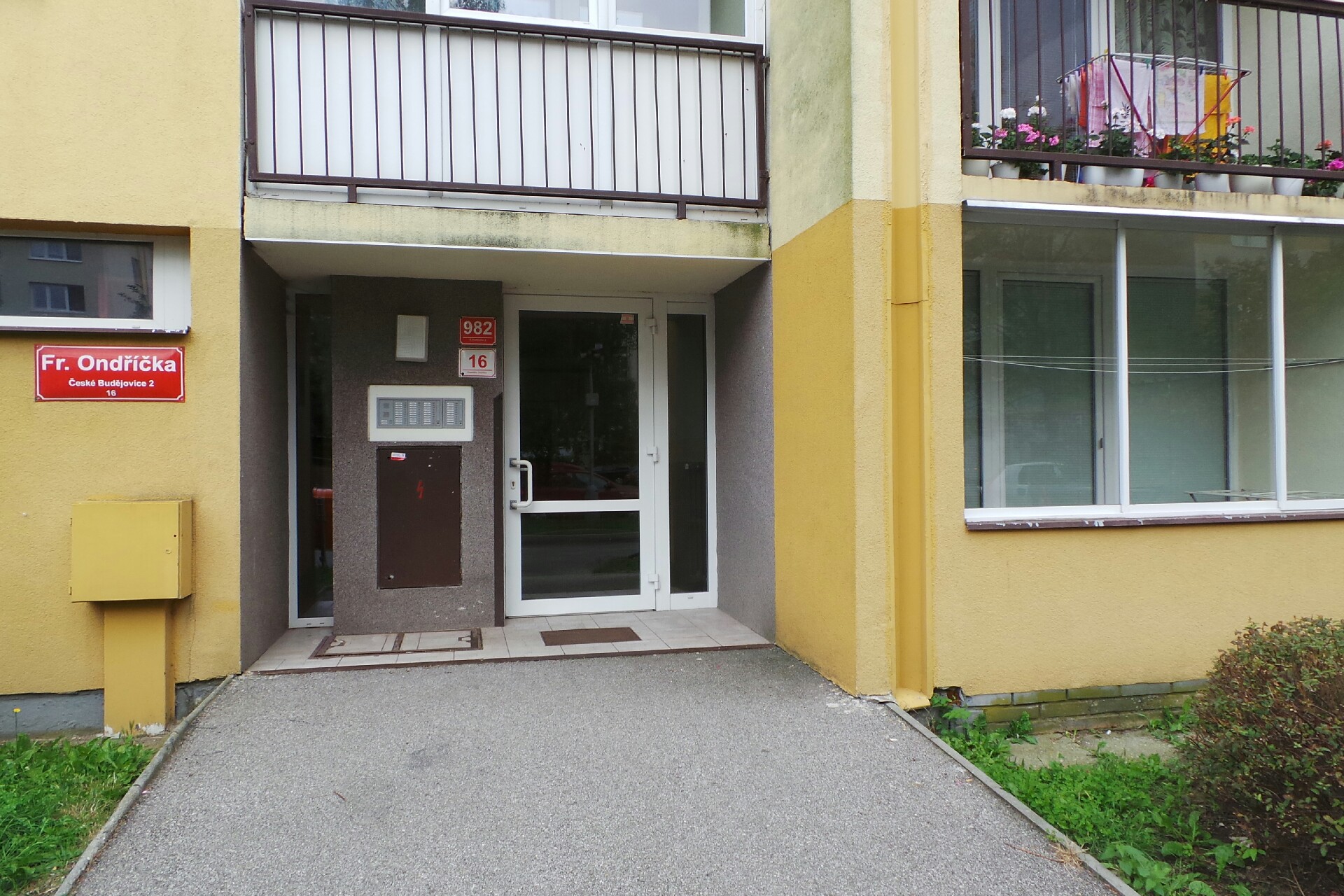 Anna Bednářová - kineziologie