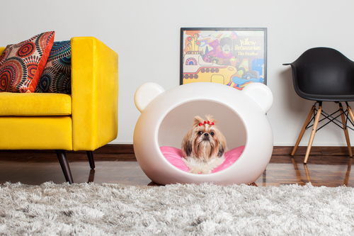 Luxurydog.cz foto 4