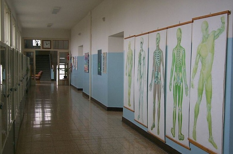 Střední zdravotnická škola, Tábor foto 4