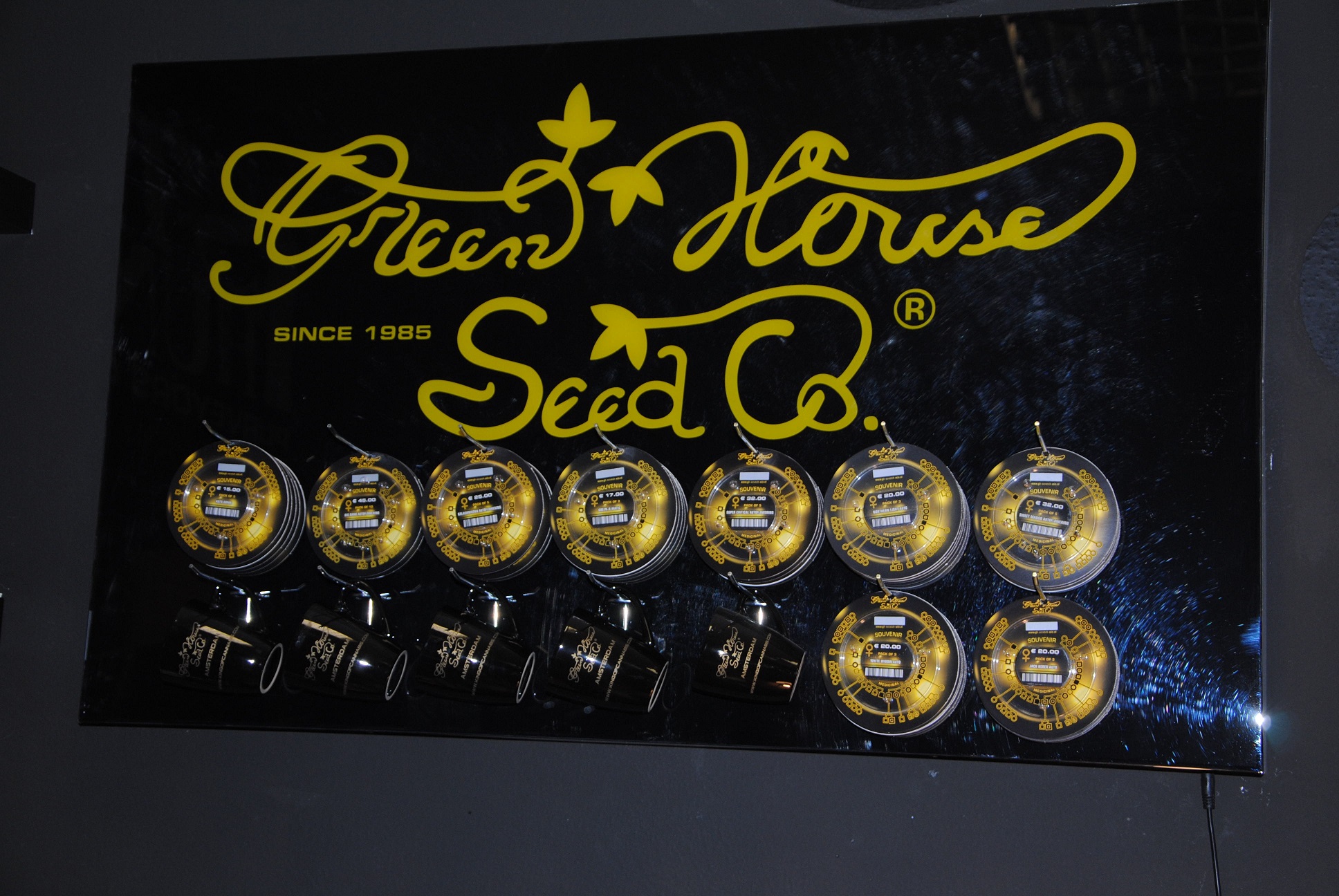 Medical Seeds foto 2