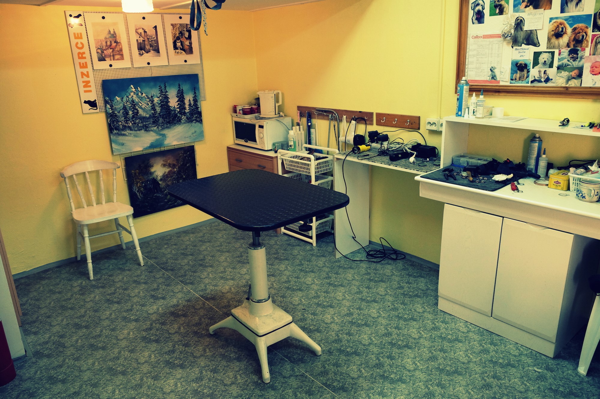 Salon Zorka - Ing. Dagmar Halířová foto 3