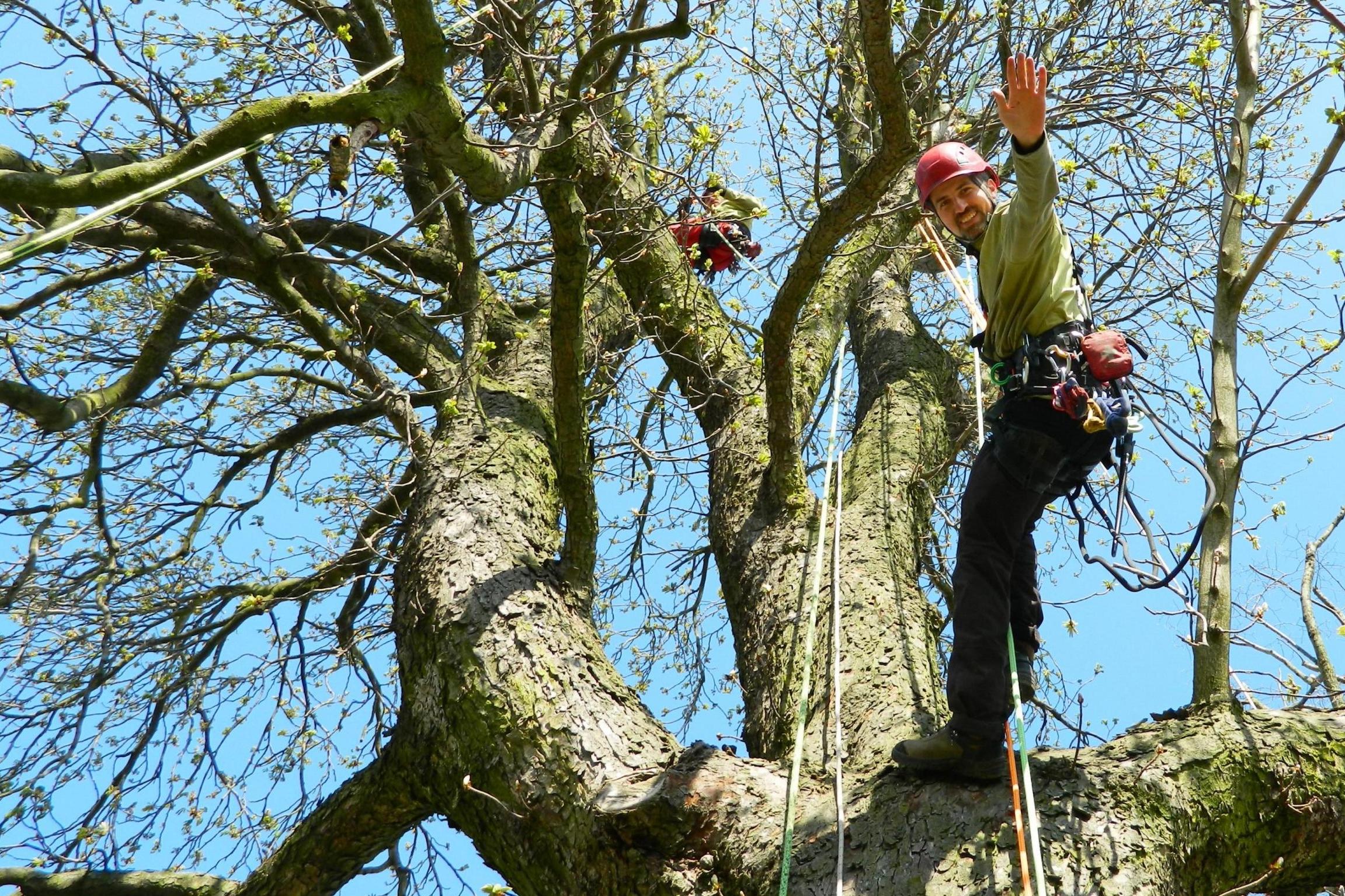 Stromolez - Ing. Martin Vlado