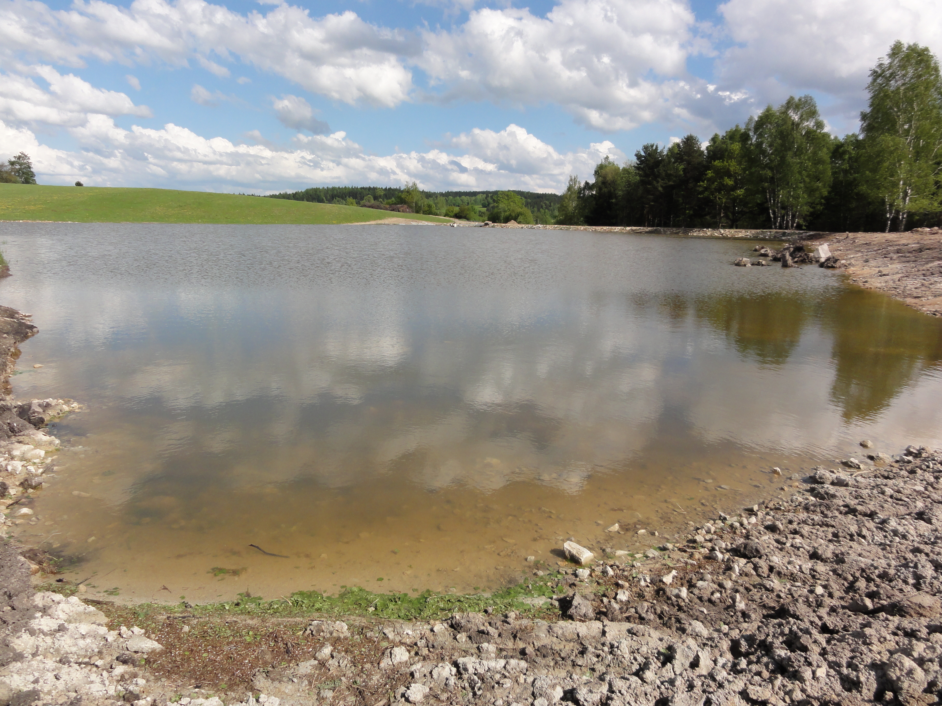 Výstavba a odbahňování rybníků - Miroslav Vašek foto 2
