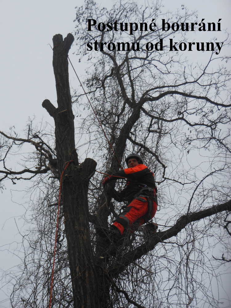 Miroslav Kocman foto 4
